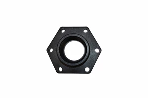 VALVE END PLATE-NEW, 2" FP